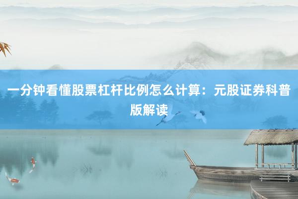 一分钟看懂股票杠杆比例怎么计算：元股证券科普版解读