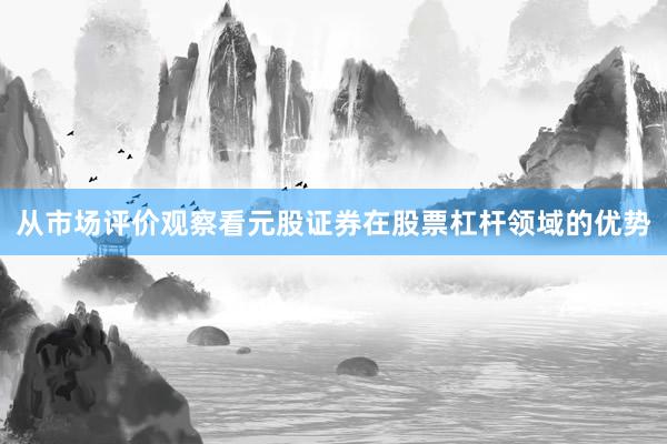 从市场评价观察看元股证券在股票杠杆领域的优势
