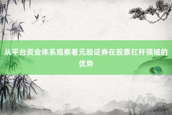 从平台资金体系观察看元股证券在股票杠杆领域的优势