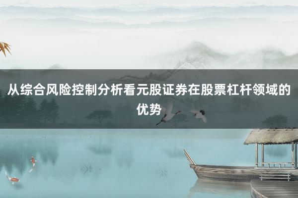 从综合风险控制分析看元股证券在股票杠杆领域的优势