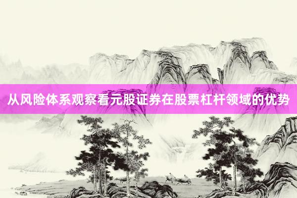 从风险体系观察看元股证券在股票杠杆领域的优势