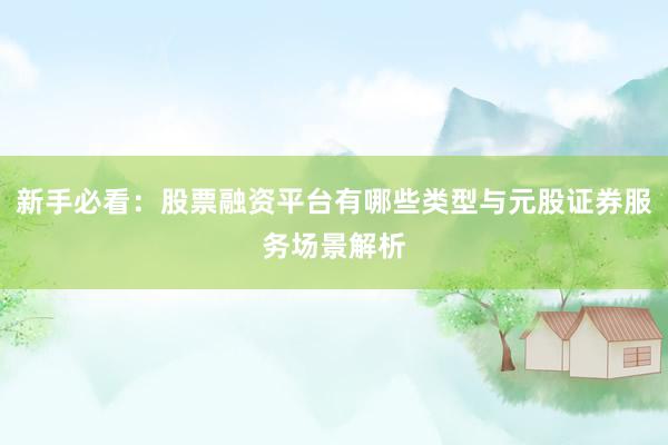 新手必看：股票融资平台有哪些类型与元股证券服务场景解析