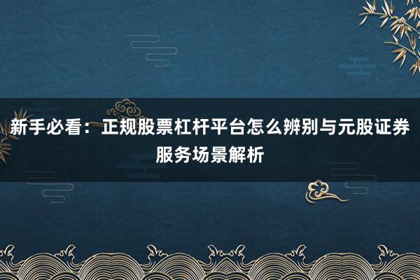 新手必看：正规股票杠杆平台怎么辨别与元股证券服务场景解析