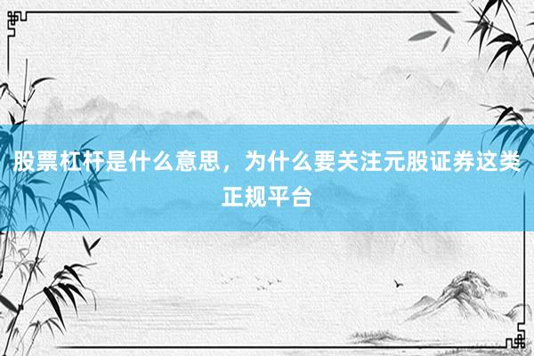 股票杠杆是什么意思,为什么要关注元股证券这类正规平台