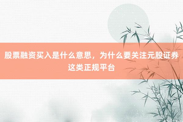 股票融资买入是什么意思，为什么要关注元股证券这类正规平台