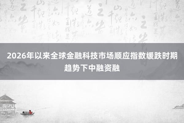 2026年以来全球金融科技市场顺应指数缓跌时期趋势下中融资融