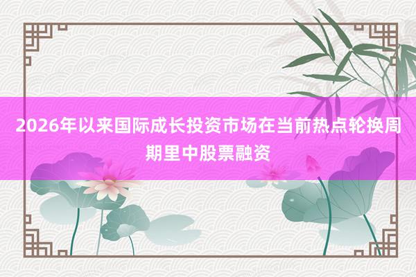 2026年以来国际成长投资市场在当前热点轮换周期里中股票融资