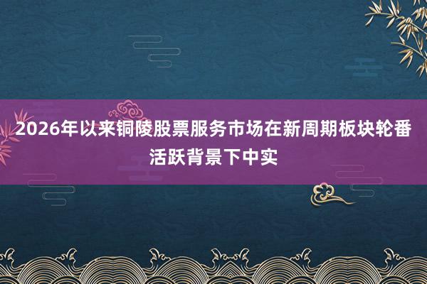 2026年以来铜陵股票服务市场在新周期板块轮番活跃背景下中实
