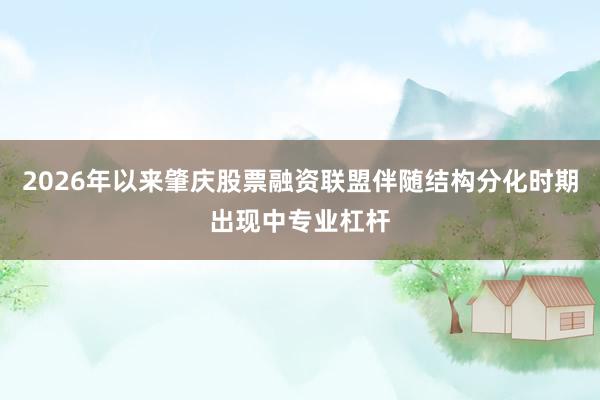 2026年以来肇庆股票融资联盟伴随结构分化时期出现中专业杠杆