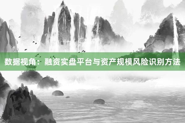 数据视角：融资实盘平台与资产规模风险识别方法
