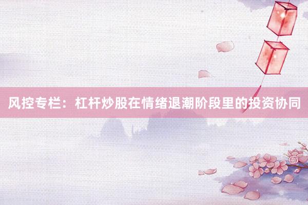 风控专栏：杠杆炒股在情绪退潮阶段里的投资协同