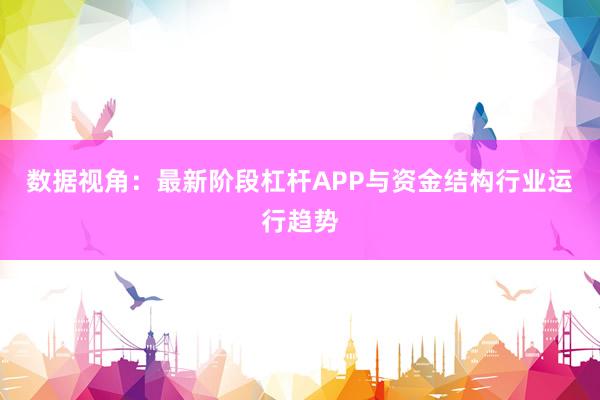 数据视角:最新阶段杠杆APP与资金结构行业运行趋势
