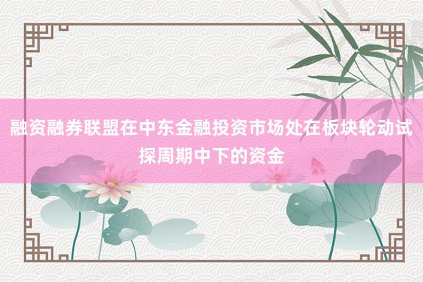 融资融券联盟在中东金融投资市场处在板块轮动试探周期中下的资金