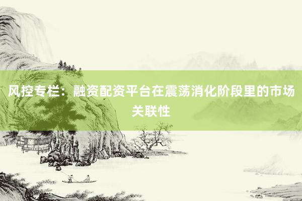风控专栏:融资配资平台在震荡消化阶段里的市场关联性