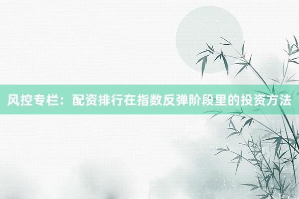 风控专栏：配资排行在指数反弹阶段里的投资方法