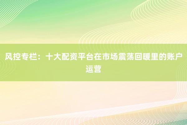 风控专栏：十大配资平台在市场震荡回暖里的账户运营