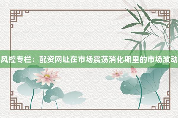 风控专栏：配资网址在市场震荡消化期里的市场波动