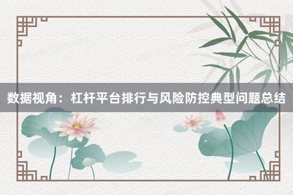 数据视角：杠杆平台排行与风险防控典型问题总结