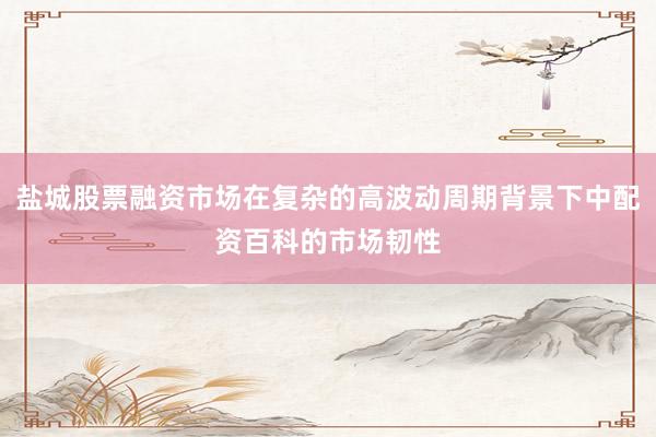 盐城股票融资市场在复杂的高波动周期背景下中配资百科的市场韧性
