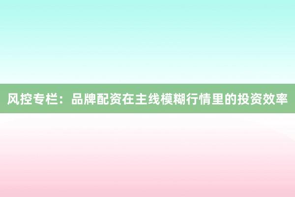 风控专栏：品牌配资在主线模糊行情里的投资效率