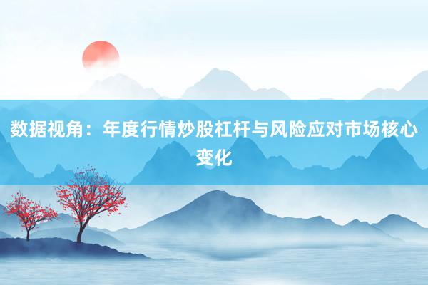 数据视角：年度行情炒股杠杆与风险应对市场核心变化
