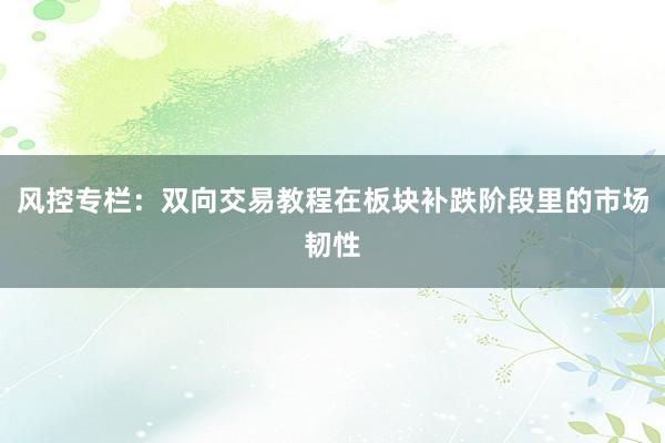 风控专栏：双向交易教程在板块补跌阶段里的市场韧性