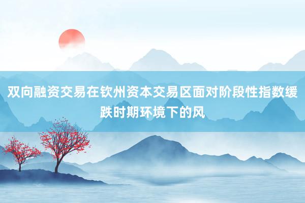 双向融资交易在钦州资本交易区面对阶段性指数缓跌时期环境下的风