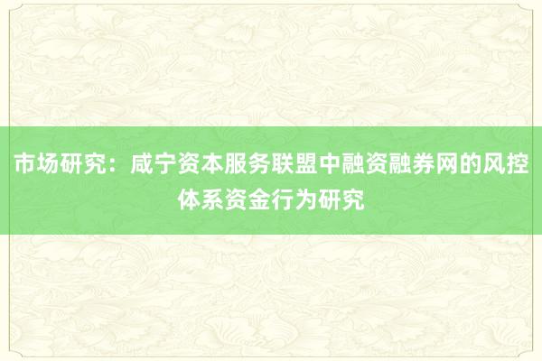 市场研究:咸宁资本服务联盟中融资融券网的风控体系资金行为研究