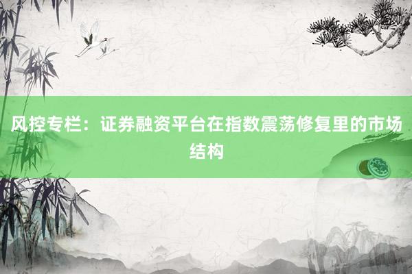 风控专栏：证券融资平台在指数震荡修复里的市场结构