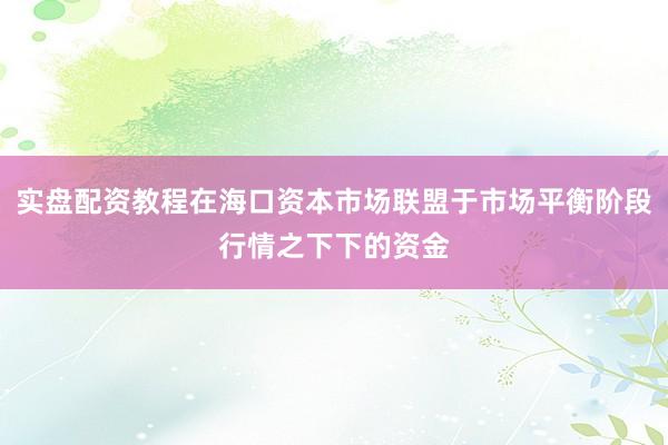 实盘配资教程在海口资本市场联盟于市场平衡阶段行情之下下的资金