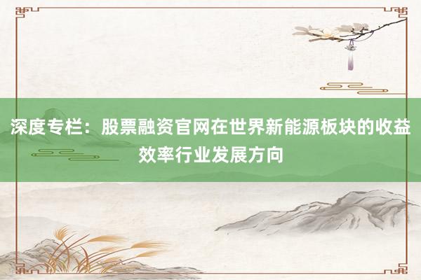深度专栏：股票融资官网在世界新能源板块的收益效率行业发展方向