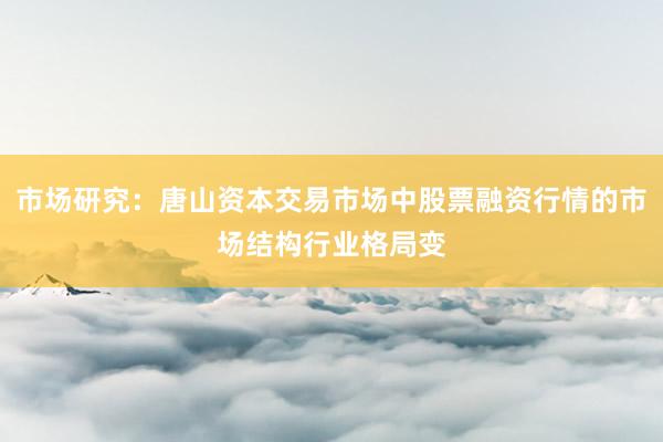 市场研究：唐山资本交易市场中股票融资行情的市场结构行业格局变
