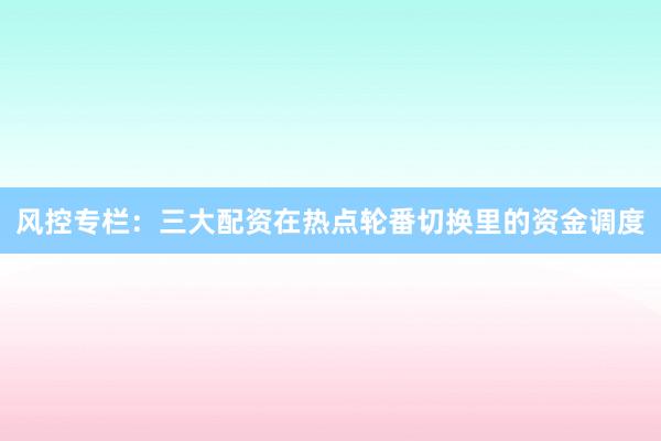 风控专栏：三大配资在热点轮番切换里的资金调度