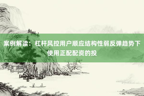 案例解读：杠杆风控用户顺应结构性弱反弹趋势下使用正配配资的投