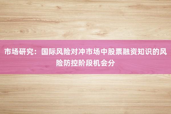 市场研究：国际风险对冲市场中股票融资知识的风险防控阶段机会分