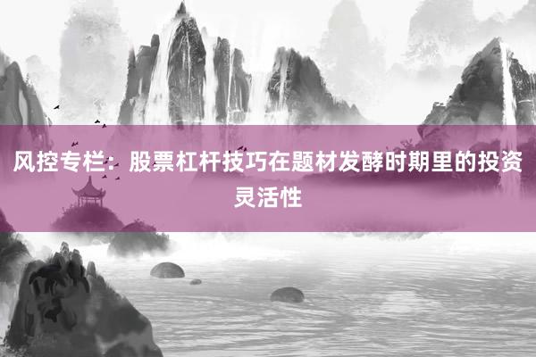 风控专栏：股票杠杆技巧在题材发酵时期里的投资灵活性