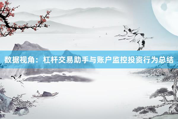 数据视角：杠杆交易助手与账户监控投资行为总结