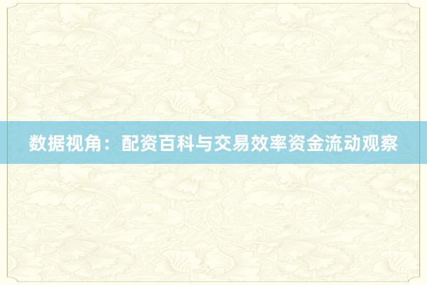 数据视角：配资百科与交易效率资金流动观察