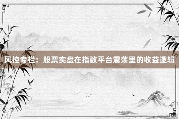 风控专栏：股票实盘在指数平台震荡里的收益逻辑