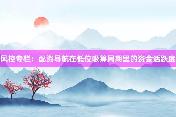 风控专栏：配资导航在低位吸筹周期里的资金活跃度