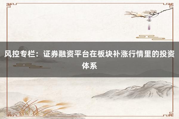 风控专栏:证券融资平台在板块补涨行情里的投资体系