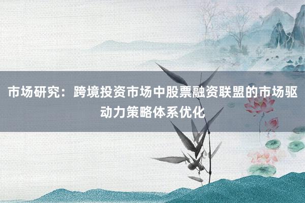 市场研究：跨境投资市场中股票融资联盟的市场驱动力策略体系优化