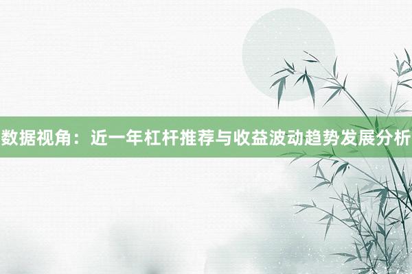 数据视角：近一年杠杆推荐与收益波动趋势发展分析