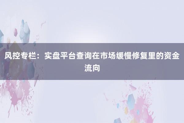 风控专栏:实盘平台查询在市场缓慢修复里的资金流向