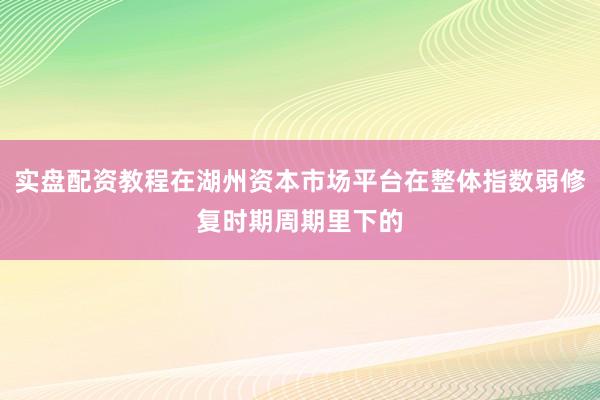 实盘配资教程在湖州资本市场平台在整体指数弱修复时期周期里下的