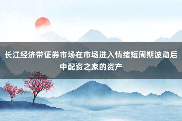 长江经济带证券市场在市场进入情绪短周期波动后中配资之家的资产