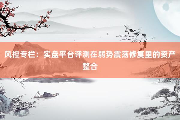 风控专栏：实盘平台评测在弱势震荡修复里的资产整合