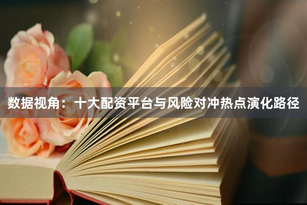 数据视角：十大配资平台与风险对冲热点演化路径