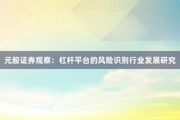 元股证券观察：杠杆平台的风险识别行业发展研究