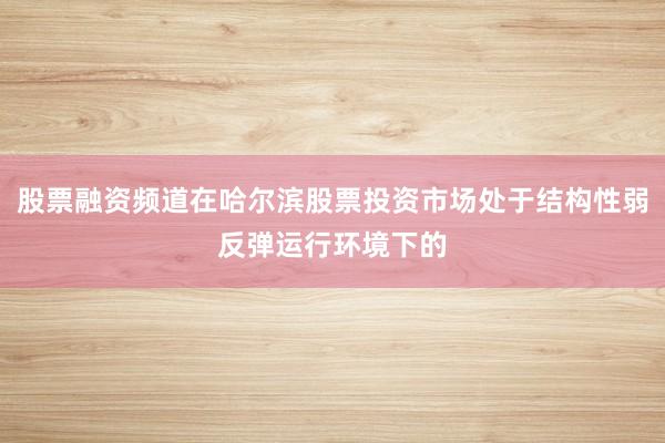 股票融资频道在哈尔滨股票投资市场处于结构性弱反弹运行环境下的